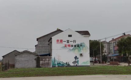旺苍新农村墙绘